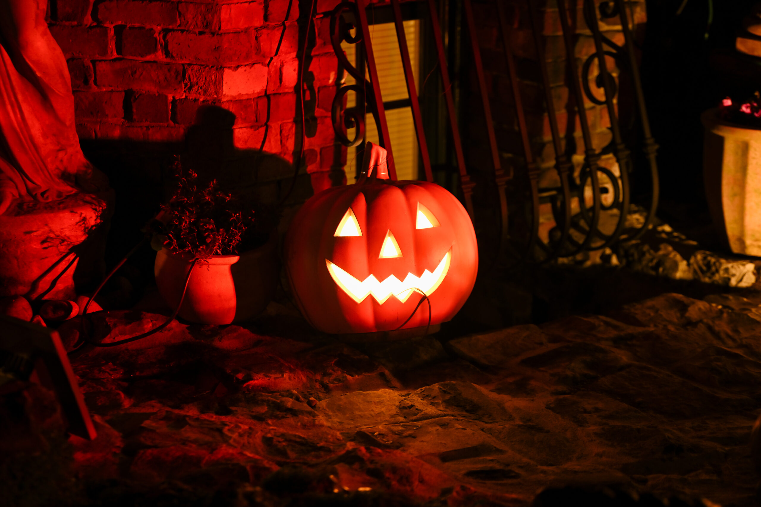 Halloween 2024 costumes embrace memes, DIY, and obscurity​Mashable​